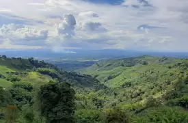 Armenia coffee tour