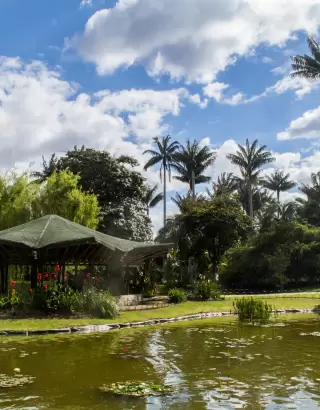 Bogotá botanical garden tour