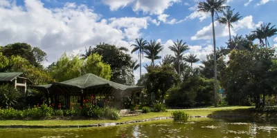 Bogotá botanical garden tour