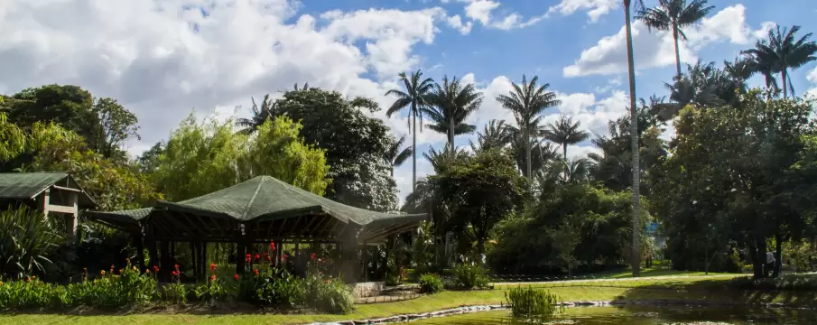 Bogotá botanical garden tour 