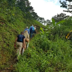 Caminata en tour del café