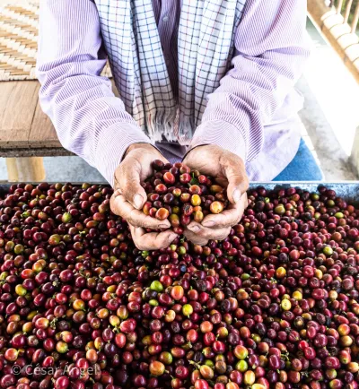 Coffee beans