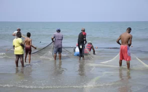 Cartagena Colombia eco tour