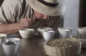 Tour cata de café en Bogotá