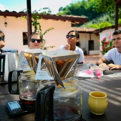 Cata de Café
