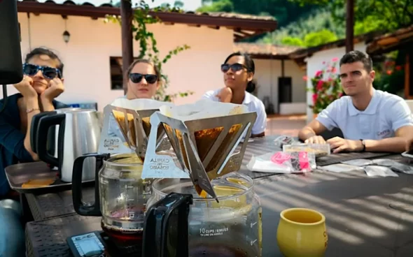 Cata de Café