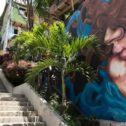 City tour comuna 13 Medellín