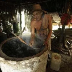 Comida en tour a Palenque Cartagena