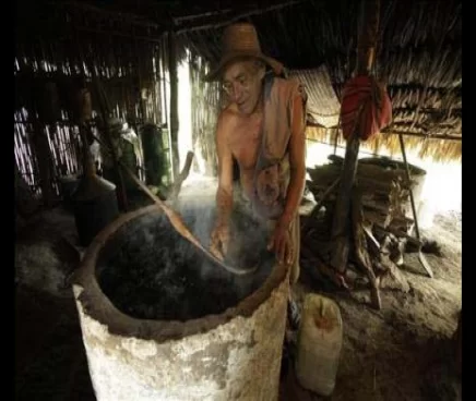 Comida en tour a Palenque Cartagena