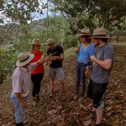 Cocoa farm tour