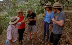 Cocoa farm tour
