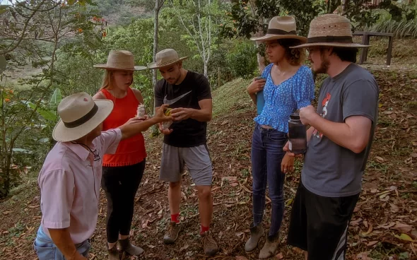 Cocoa farm tour