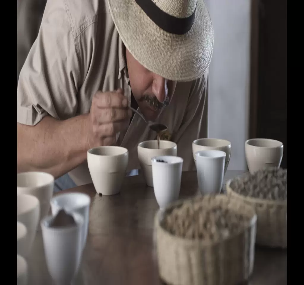 Coffee cupping in Bogotá
