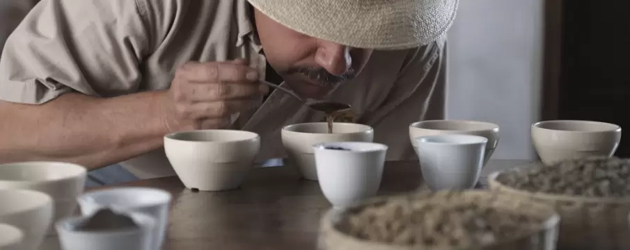 Coffee cupping in Bogotá