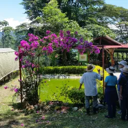 Chocolate tour coffee farm