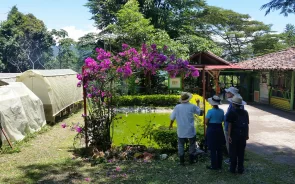 Chocolate tour coffee farm