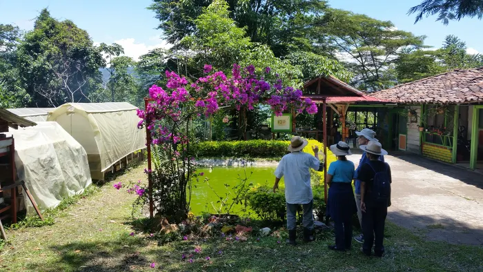 Coffee farm in Marsella