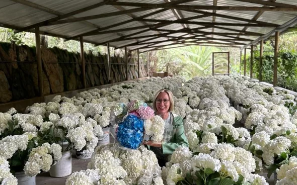 Cultivo de flores en Medellín