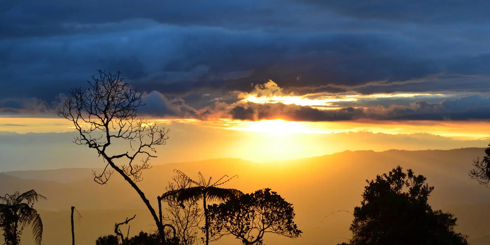 Natural park Chicaque tour in Bogotá