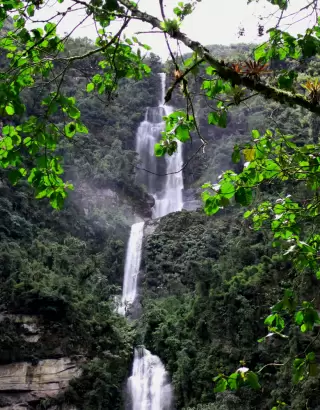 Ecoturismo cerca a Bogotá en parque natural La Chorrera