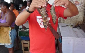 Cartagena Colombia food tour