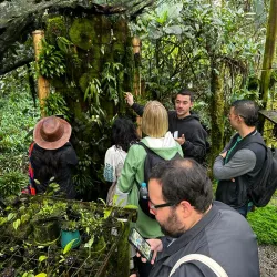 Guía turistas en cultivo de flores