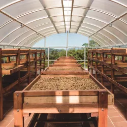 Hacienda cafetera en Pereira