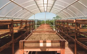 Hacienda cafetera en Pereira