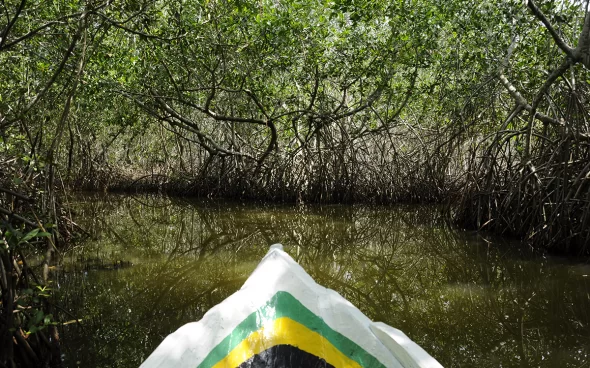 Manglares de Cartagena Colombia