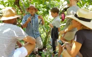 Marsella chocolate and fruits tour