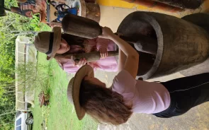 Molienda de cacao