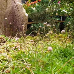 Naturaleza típica de antioquia