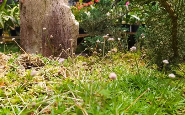 Naturaleza típica de antioquia