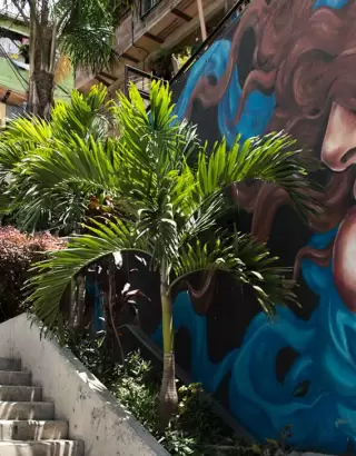 Pablo Escobar tour in Medellín