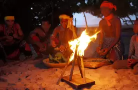 Palenque Cartagena Tour