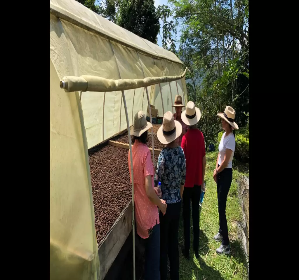Coffee farm in Pereira