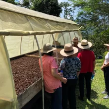 Pereira coffee tour