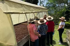 Pereira coffee tour