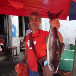 Prueba de pescado en tour gastronómico de Cartagena