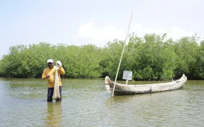 Pescador en manglares de Cartagena