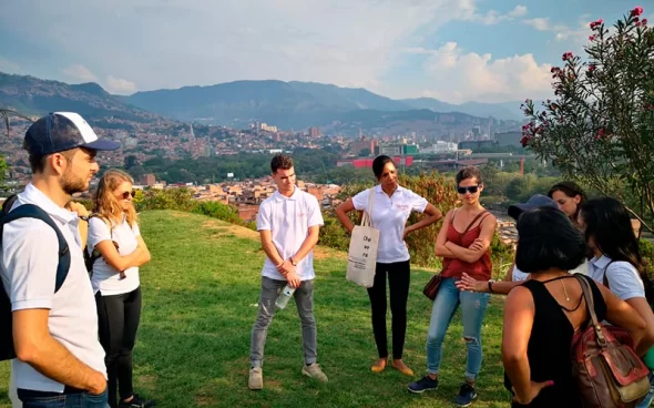 Plantación de Café Cerca a Medellín