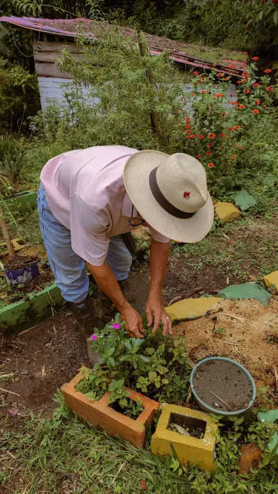 Farmer in cacao plantation