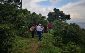 Recorrido Plantacin de Caf