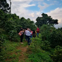 Recorrido Plantación de Café