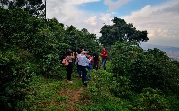 Recorrido Plantación de Café