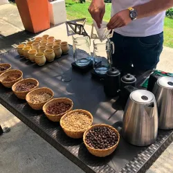 Tipos de Café