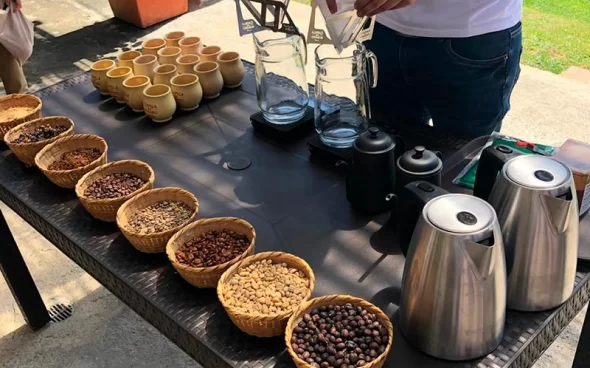 Tipos de Café
