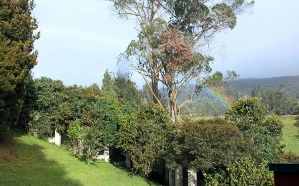 Bird watching tour near Bogota