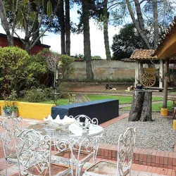 Avistamiento de aves en Bogotá