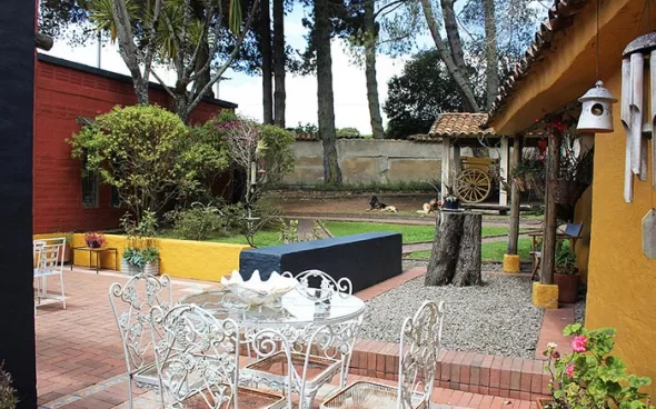 Avistamiento de aves en Bogotá